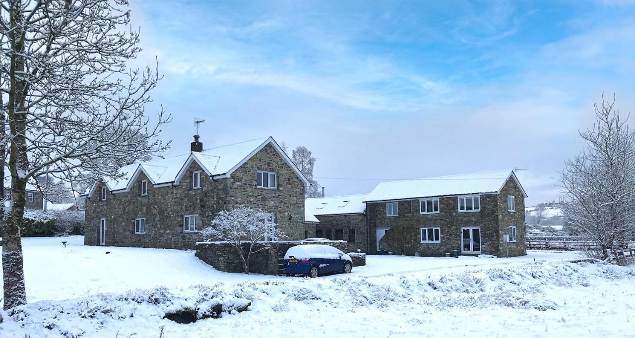 Maesyfelin Isaf B&B Llanybydder Экстерьер фото
