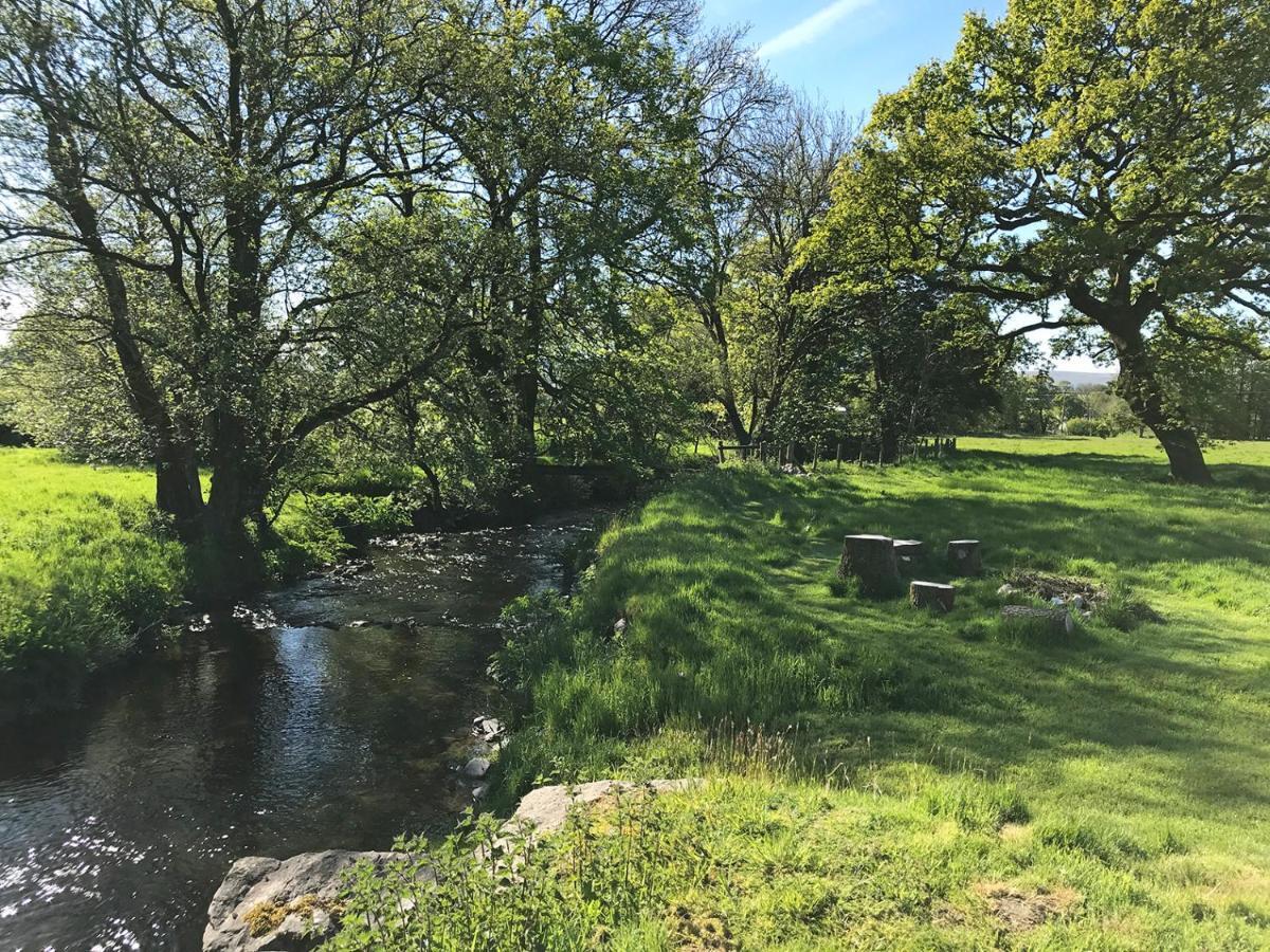 Maesyfelin Isaf B&B Llanybydder Экстерьер фото