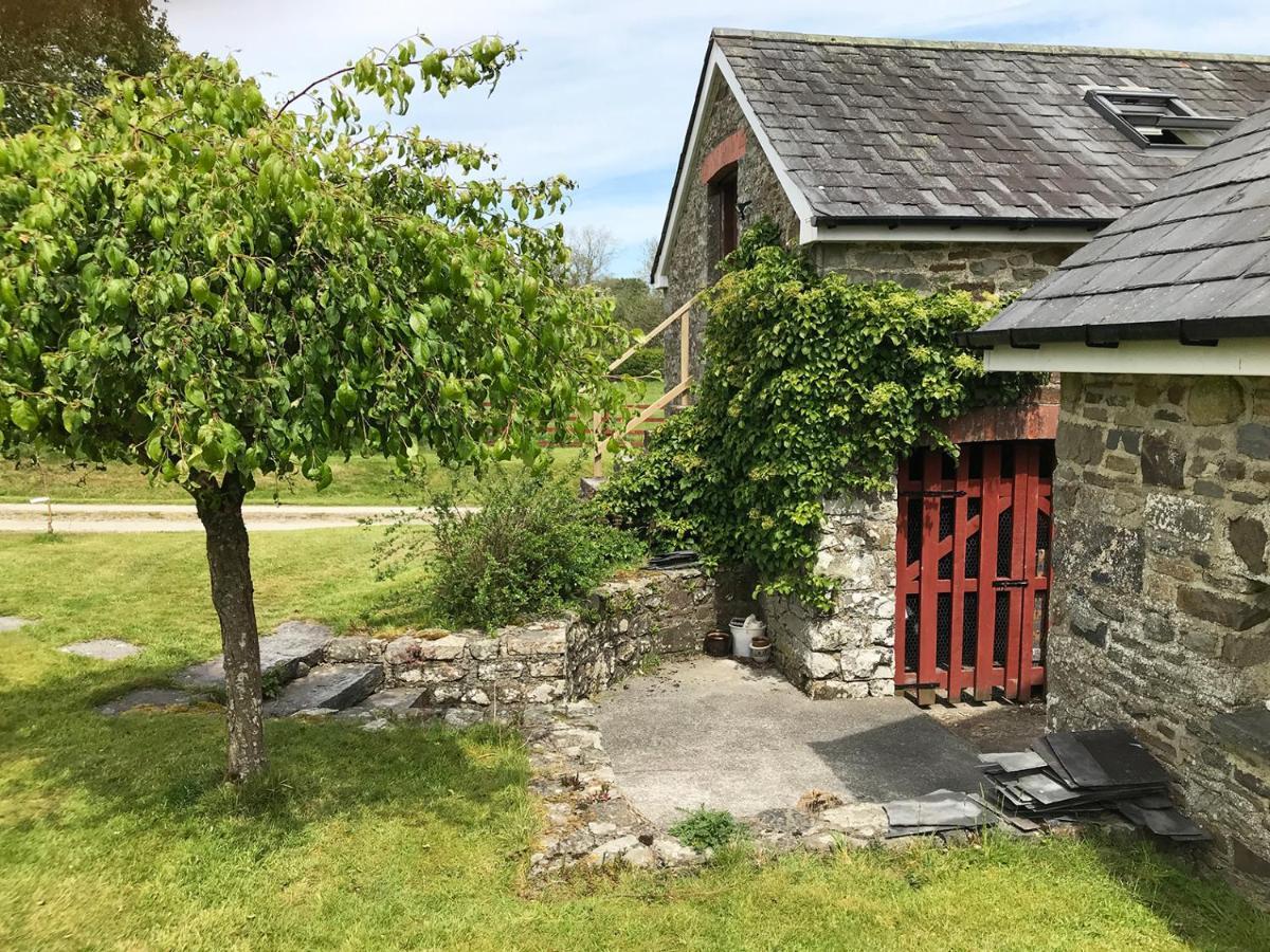 Maesyfelin Isaf B&B Llanybydder Экстерьер фото
