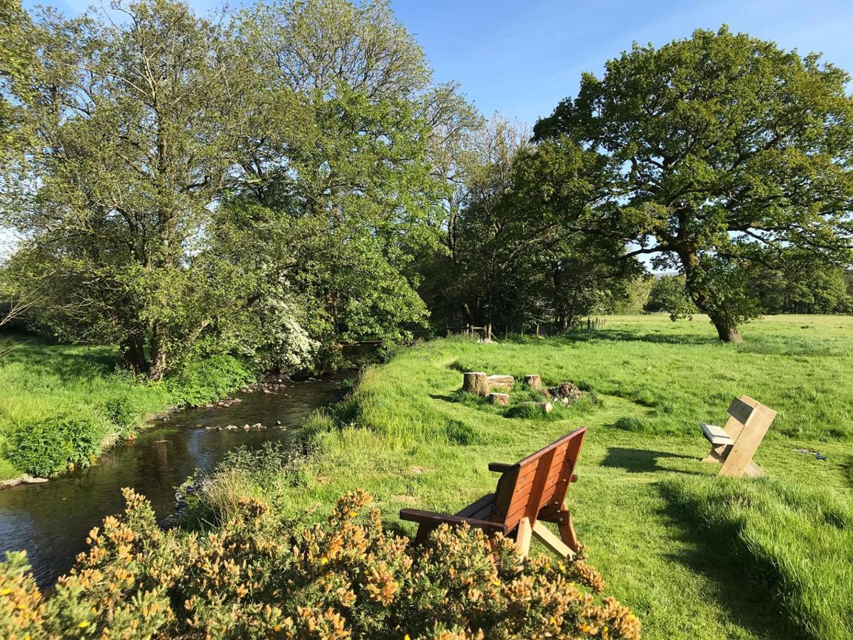 Maesyfelin Isaf B&B Llanybydder Экстерьер фото